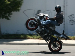 CBR954RR - Highchair Wheelie: Smile for the camera. Nice highchair wheelie by this CBR954RR stunt rider.